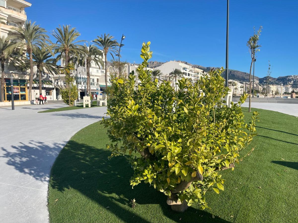 Apartamento Alteagroup Centro Exterior photo